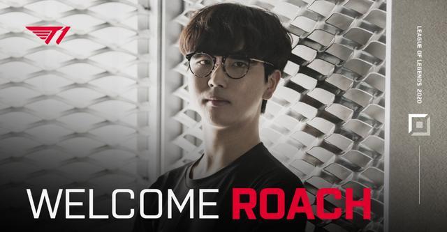 或是成都蓉 或是成都蓉