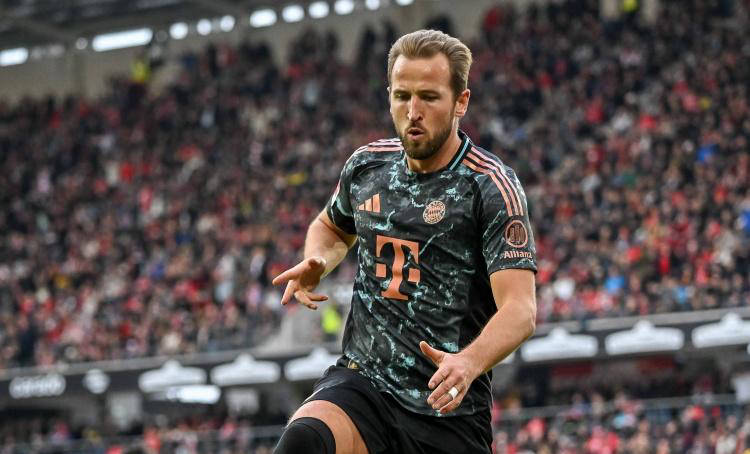 站稳脚跟 站稳脚跟