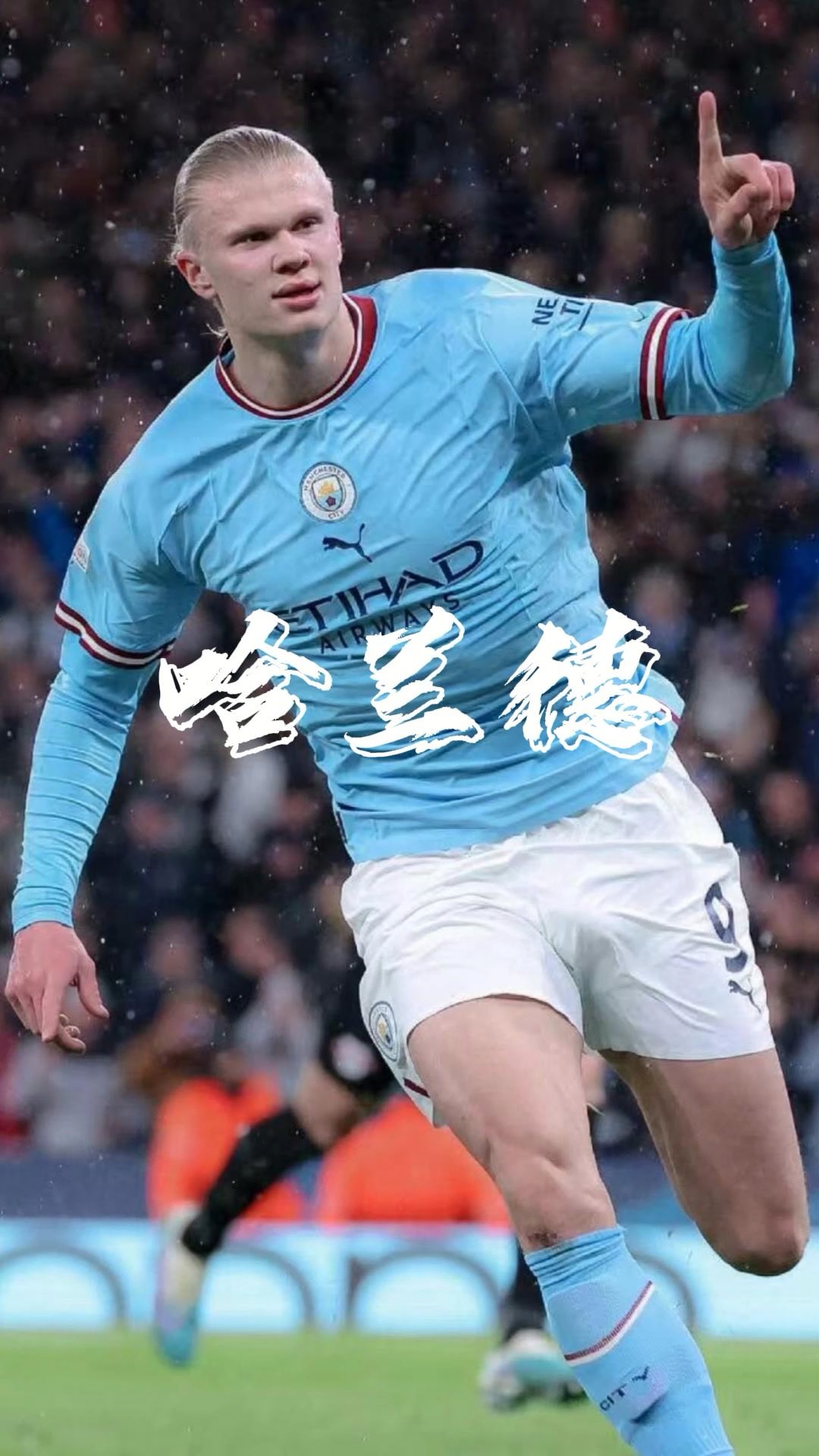 阶段Bos